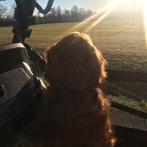 Meet your Posher, Christie